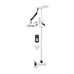 RT Ulterra 80/IP Link BT 60" 24v