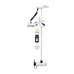 RT Ulterra 112/IP Link BT 60" 36v