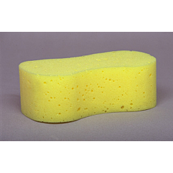 Dog Bone Sponge