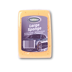 Large Sponge