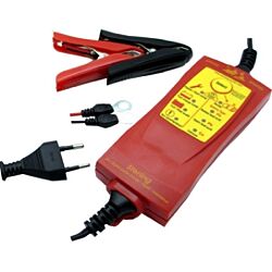 Global Smart Charger 12V 5A