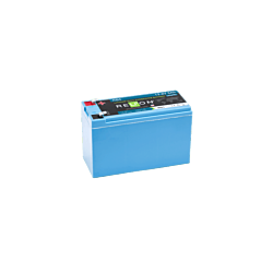 RELiON 12.8V 5Ah F2 Terminal LiFePO4 Battery