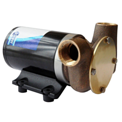 Pump Utility Puppy 3000 24V BSP